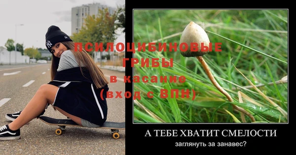 apvp Слюдянка